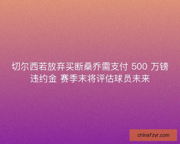 切尔西若放弃买断桑乔需支付 500 万镑违约金 赛季末将评估球员未来